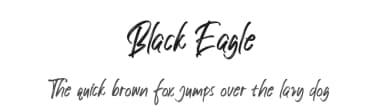 Black Eagle by Creativework69 Studio — Script Handwritten Font — thumbnail 1