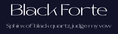 Black Forte by TypeClassHeroes — Sans Serif Font — thumbnail 2