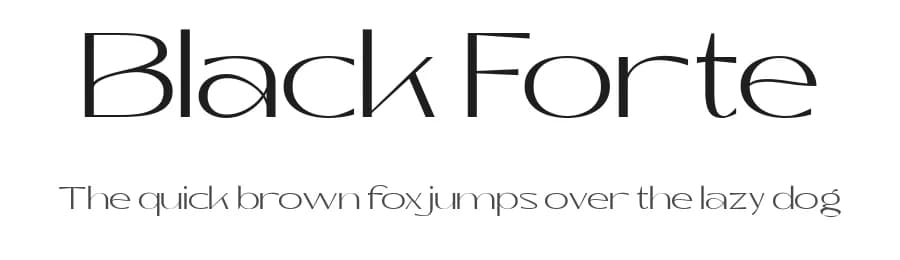 Black Forte by TypeClassHeroes — Sans Serif Font — preview 1