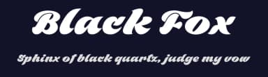 Black Fox by Måns Grebäck — Script Handwritten Font — thumbnail 2