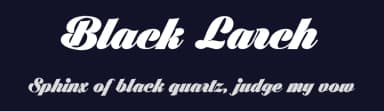 Black Larch by Måns Grebäck — Script Handwritten Font — thumbnail 2