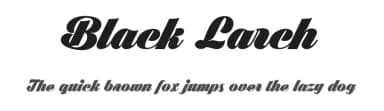Black Larch by Måns Grebäck — Script Handwritten Font — thumbnail 1