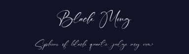 Black Ming by StringLabs Creative Studio — Script Handwritten Font — thumbnail 2