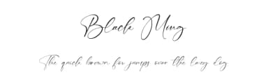 Black Ming by StringLabs Creative Studio — Script Handwritten Font — thumbnail 1