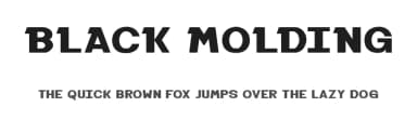 Black Molding by Fikryal studio — Sans Serif Font — thumbnail 1