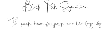 Black Pink Signature by Letterara — Script Handwritten Font — thumbnail 1