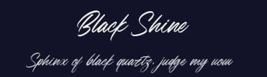 Black Shine by Halymunt Studio — Script Handwritten Font — thumbnail 2
