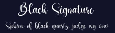 Black Signature by Scratchones — Script Handwritten Font — thumbnail 2