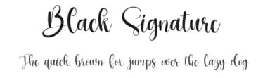 Black Signature by Scratchones — Script Handwritten Font — thumbnail 1