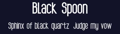 Black Spoon by alien foundery — Sans Serif Font — thumbnail 2