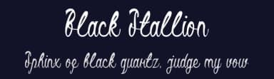Black Stallion by weknow — Script Handwritten Font — thumbnail 2