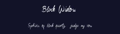 Black Widow by Youthlabs Studio — Script Handwritten Font — thumbnail 2