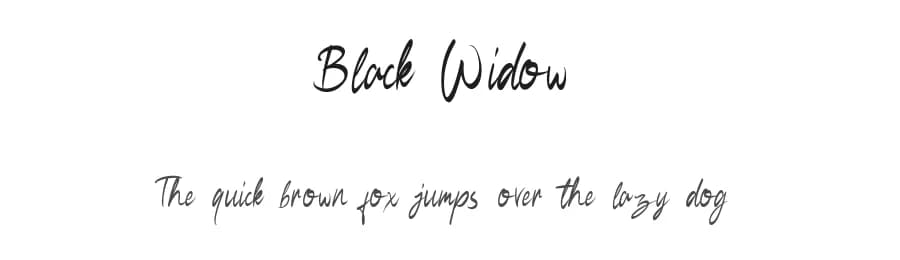 Black Widow by Youthlabs Studio — Script Handwritten Font — preview 1