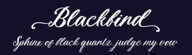 Blackbird by Fikryal studio — Script Handwritten Font — thumbnail 2