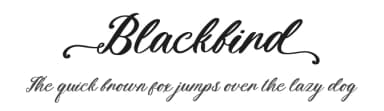 Blackbird by Fikryal studio — Script Handwritten Font — thumbnail 1