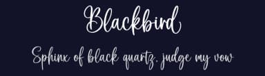 Blackbird by Graphix Line Studio — Script Handwritten Font — thumbnail 2