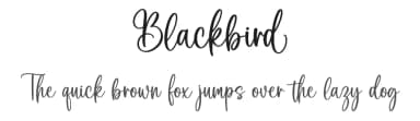 Blackbird by Graphix Line Studio — Script Handwritten Font — thumbnail 1