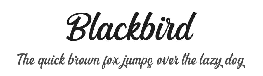Blackbird by Kong Font — Script Handwritten Font
