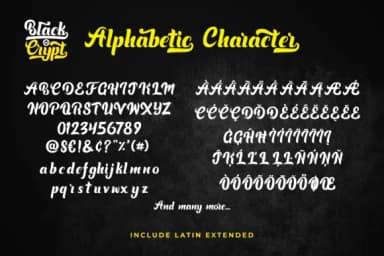 Blackcrypt Font by Saiful Maliki — Script Handwritten Font — thumbnail 7