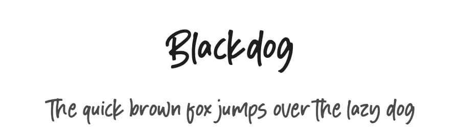 Blackdog by Aestherica Studio — Script Handwritten Font — preview 1