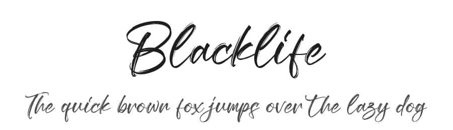 Blacklife by Letterena Studios — Script Handwritten Font