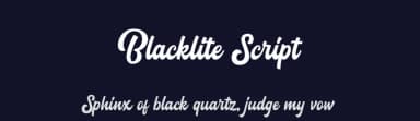 Blacklite Script by Letterhend Studio — Script Handwritten Font — thumbnail 2