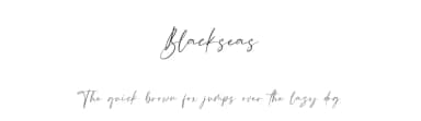 Blackseas by Maulana Creative — Script Handwritten Font — thumbnail 1