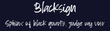 Blacksign by Creativework69 Studio — Script Handwritten Font — thumbnail 2