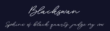 Blackswan by Letterative Studio — Script Handwritten Font — thumbnail 2