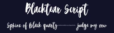 Blacktear Script by Katsia Jazwinska — Script Handwritten Font — thumbnail 2
