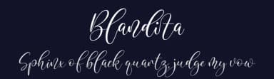Blandita by Perspectype Studio - Letterena.com — Script Handwritten Font — thumbnail 2