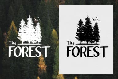 Blanford Font by Vilogsign — Script Handwritten Font — thumbnail 2