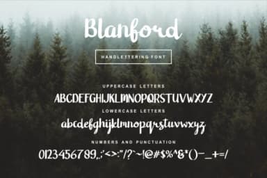 Blanford Font by Vilogsign — Script Handwritten Font — thumbnail 3