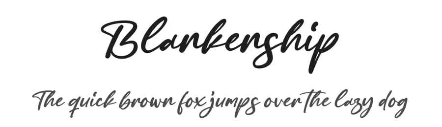 Blankenship by Letterena Studios — Script Handwritten Font