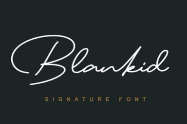 Blankid Font by Lettersiro Co. — Script Handwritten Font — thumbnail 1