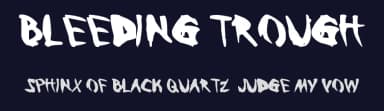 Bleeding Trough by Gaven Van Sant — Script Handwritten Font — thumbnail 2