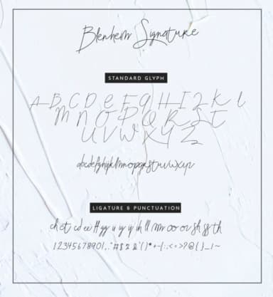 Blenheim Signature Font by kamigawi.etc — Script Handwritten Font — thumbnail 6