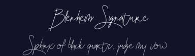 Blenheim Signature by Rengga Eka Zulkarnaen — Script Handwritten Font — thumbnail 2