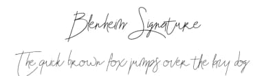 Blenheim Signature by Rengga Eka Zulkarnaen — Script Handwritten Font — thumbnail 1