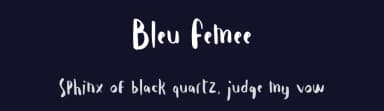 Bleu Femee by Typetemp Studio — Script Handwritten Font — thumbnail 2
