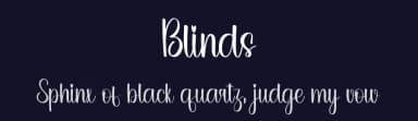 Blinds by PiPi Creative STUDIO — Script Handwritten Font — thumbnail 2