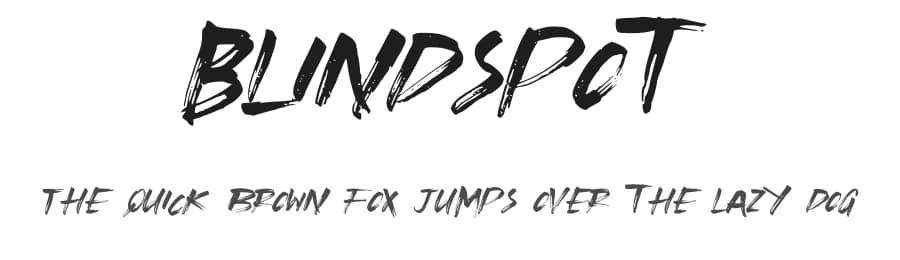 Blindspot by Willetter Studio — Script Handwritten Font