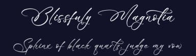 Blissfuly Magnotia by Letterena Studios — Script Handwritten Font — thumbnail 2