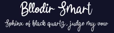 Bllodir Smart by Metal Studio — Script Handwritten Font — thumbnail 2