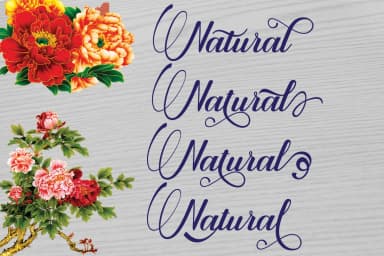 Blodeyn Font by Danti — Script Handwritten Font — thumbnail 6