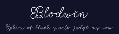 Blodwen by Misti's Fonts — Script Handwritten Font — thumbnail 2