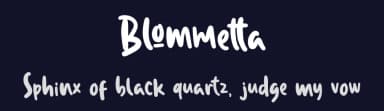 Blommetta by Creakokun Studio — Script Handwritten Font — thumbnail 2