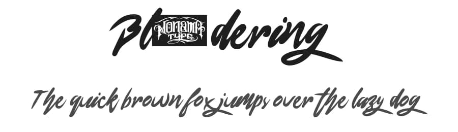 Blondering by Nonama Type — Script Handwritten Font