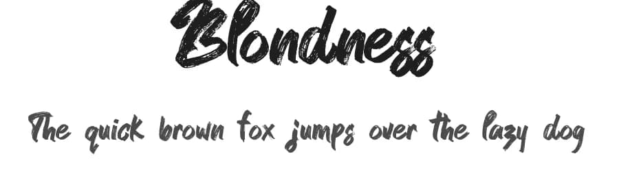 Blondness by CconceptLab — Script Handwritten Font — preview 1