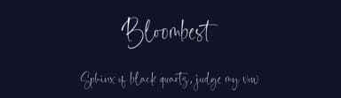 Bloombest by Balpirick Studio — Script Handwritten Font — thumbnail 2
